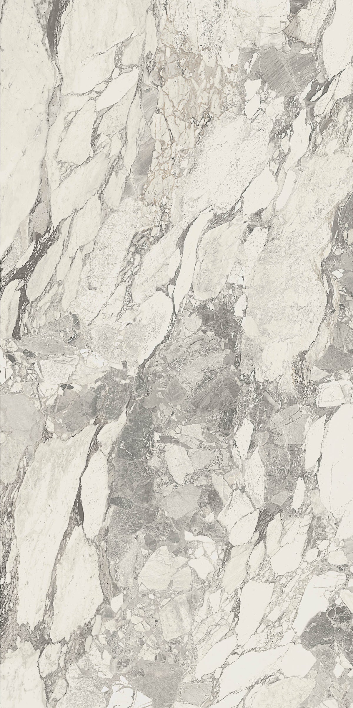 Calacatta Oreo Polished